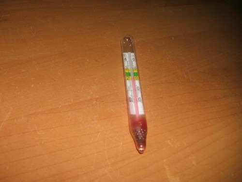 Aquarium thermometer - aquarium,
