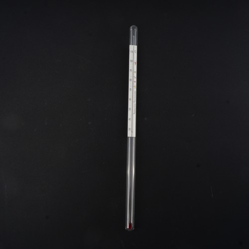 Pasteurisier thermometer twg - pasteurisier,